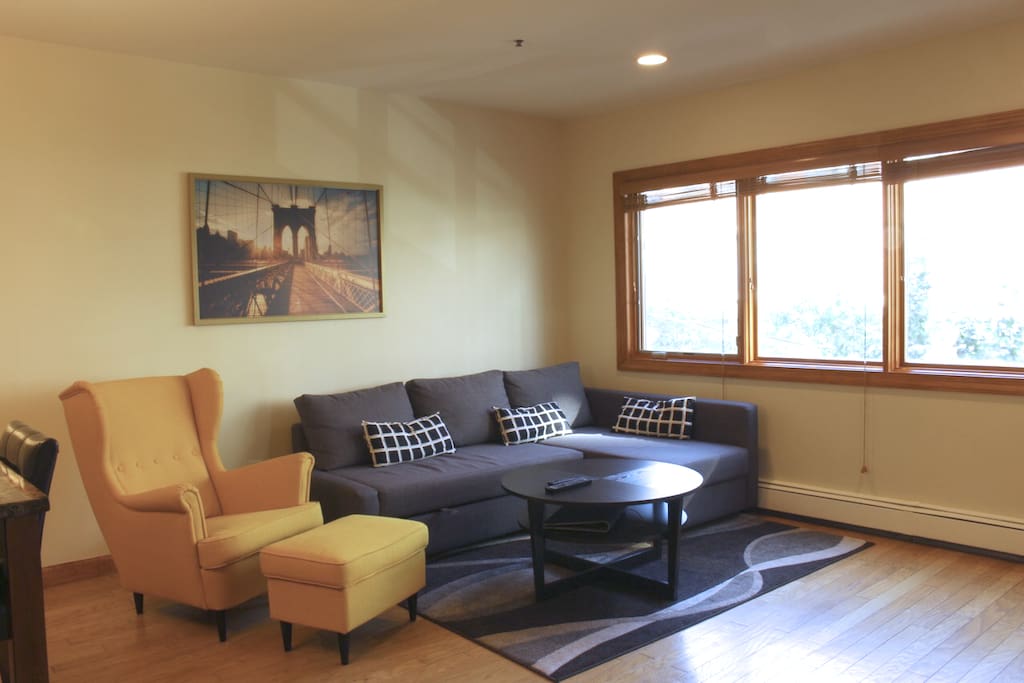 The living room has great natural light, and scenic views of Park Avenue below.