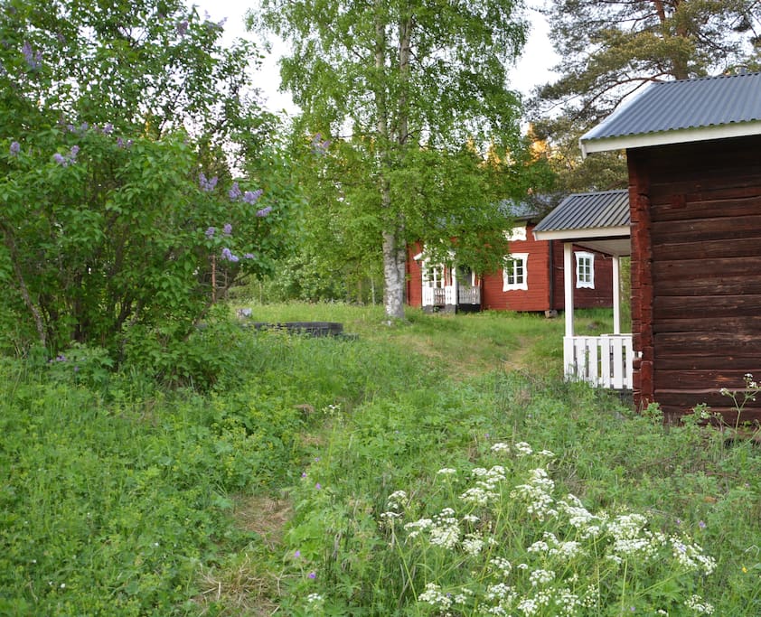 The path from the lake and sauna house
