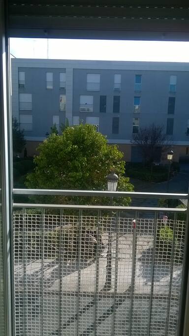 vistas desde la habitacion