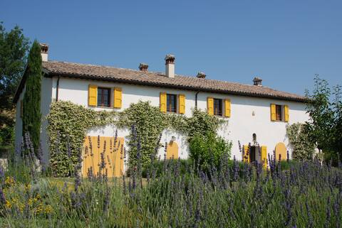 Casetta Ginestra apartment