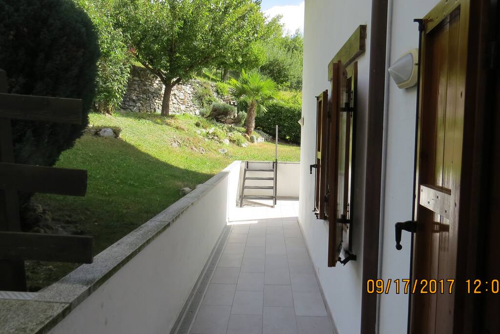 ingresso