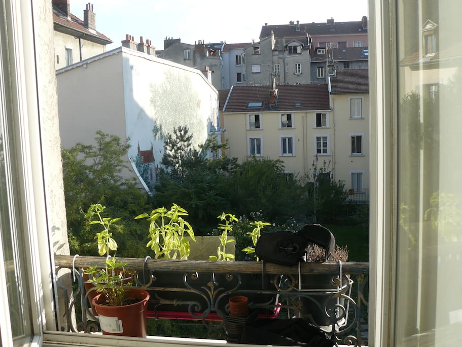 Le parc par la fenêtre de la cuisine