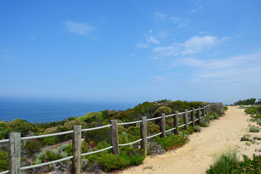 Costa Vicentina: Nature at its best!