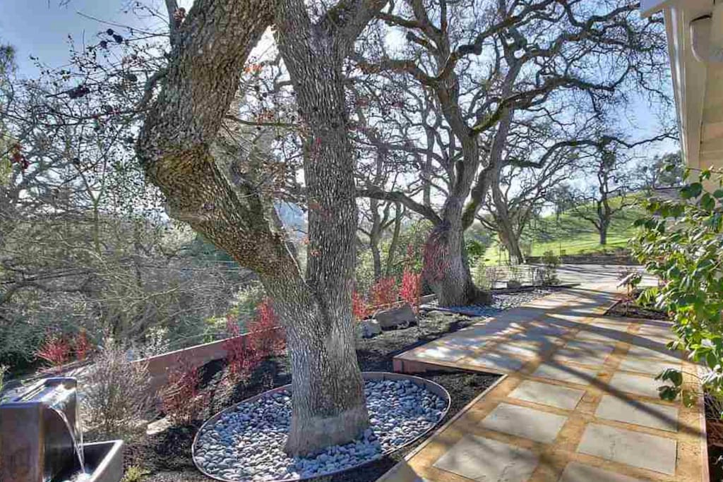 Beautiful oak trees adorn the property.
