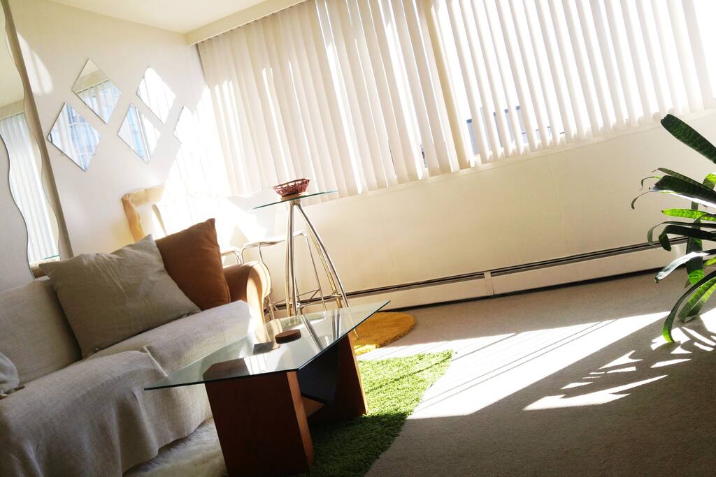 Bright and Sunny Lounge By Day