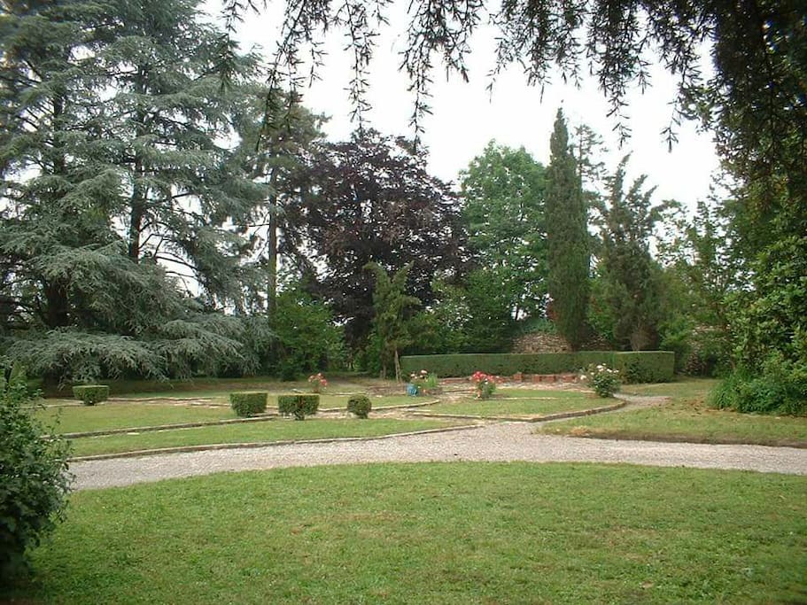 Garden