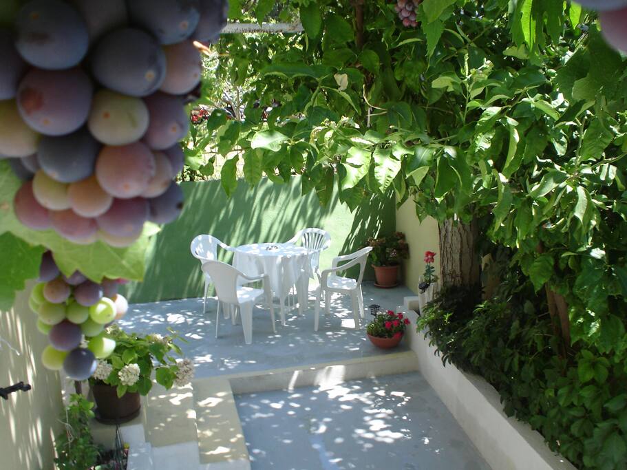 "TERRACE" private/ separate entrance