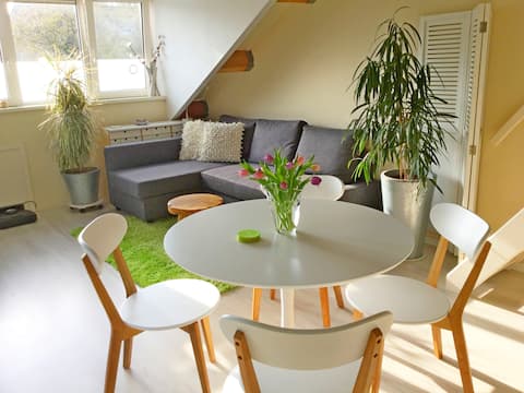 Private floor with private entrance.