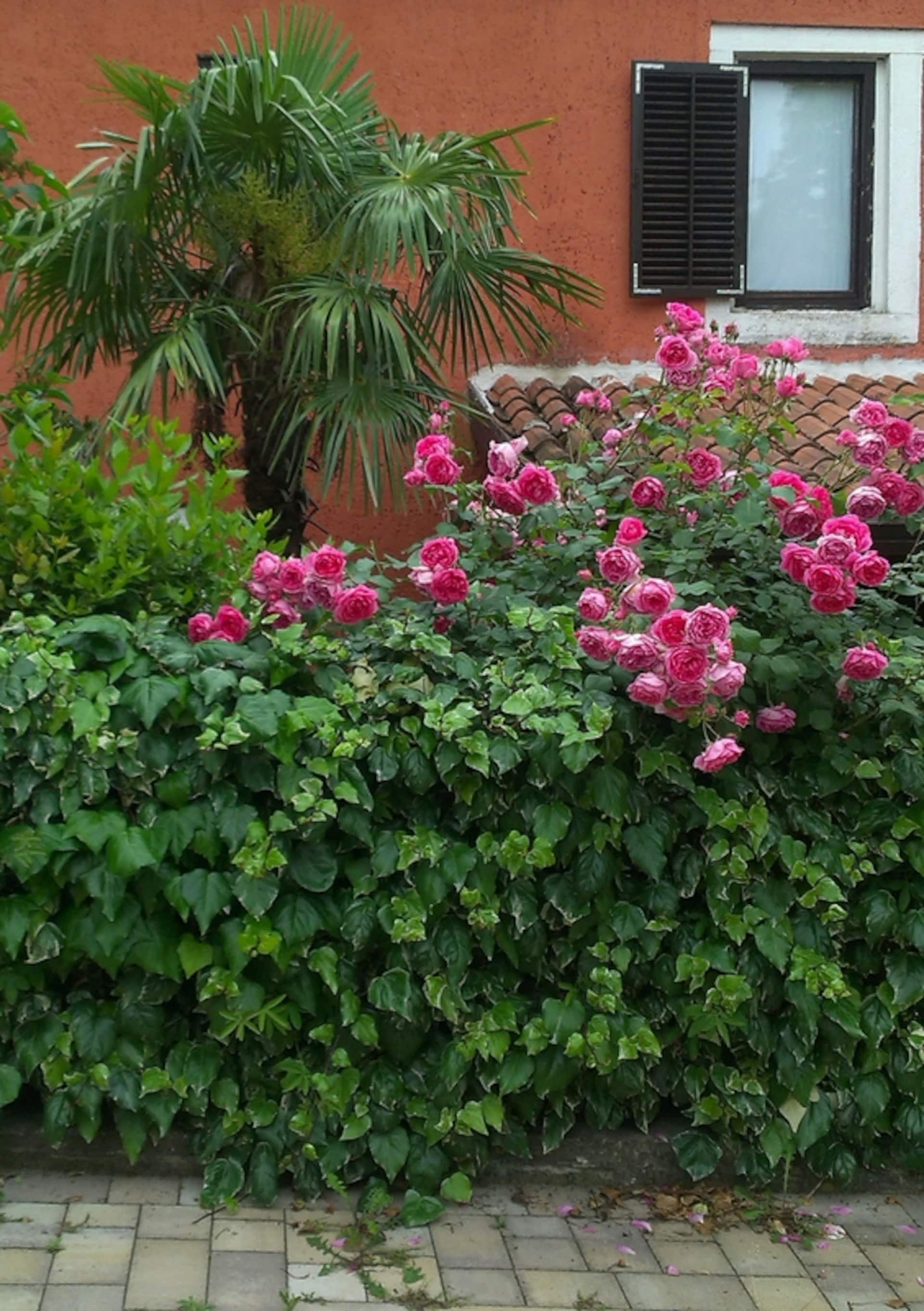 Casa Alida