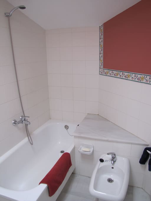 Baño dormitorio principal.