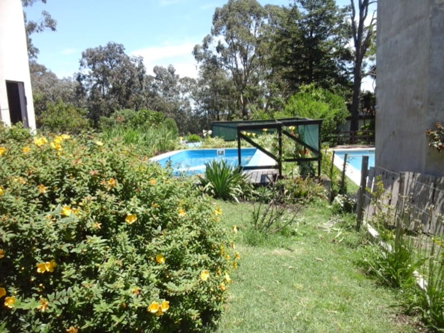 Vista pileta