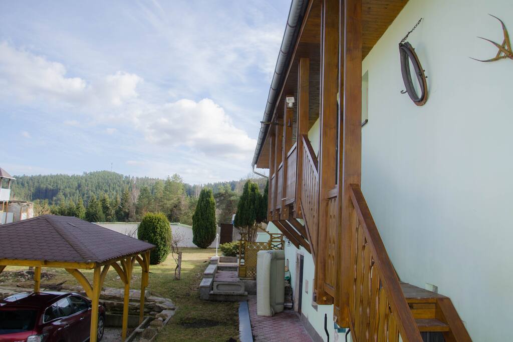 View to the Forrest