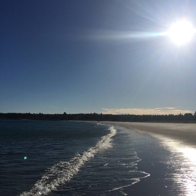Bayswater beach wraps all the way around to the front of the cottage.