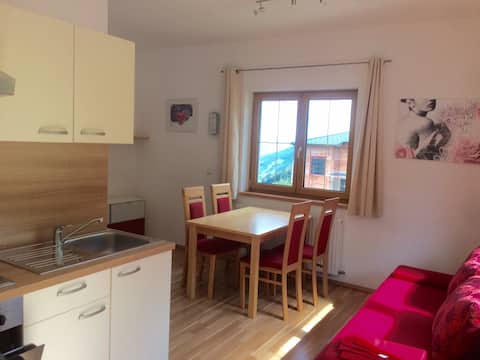 Beliebte Airbnb-Anzeige: Appartement Wohlfahrter Dachstein in Schladming