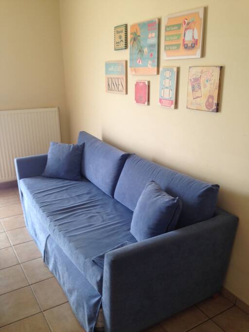 sofa bed (pull out couch)