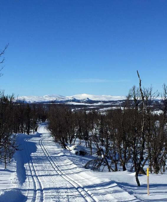 Winter view from the surroundings