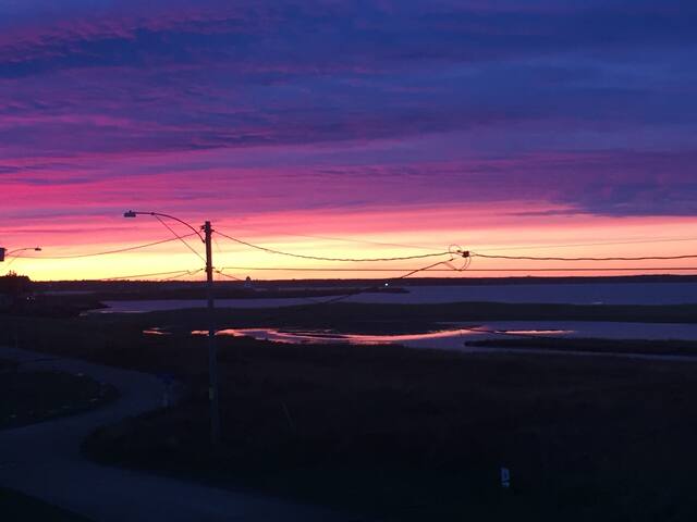 “The Mooring”- Full Beach House with Views gallery image 5