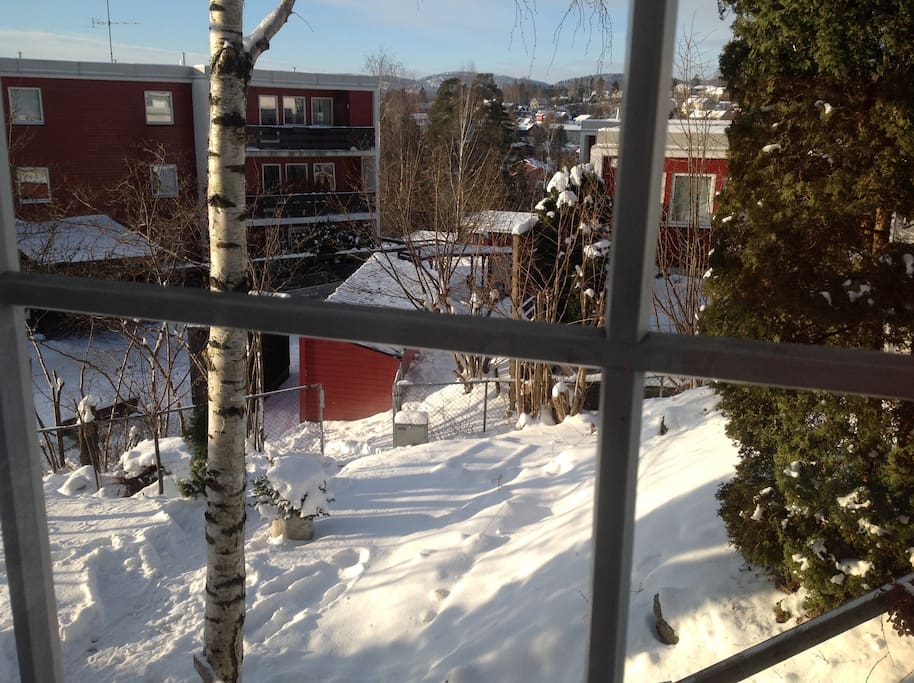 private entrance through the garden, the app. is in first floor.