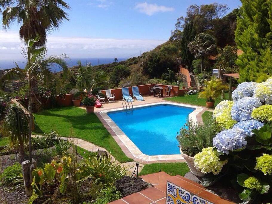 PISCINA PRIVADA + HAMACAS+ PÉRGOLA CON MESA Y SILLAS