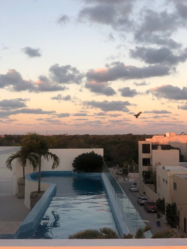 2BR Penthouse in Tulum — 2 bedroom vacation rental in Tulum