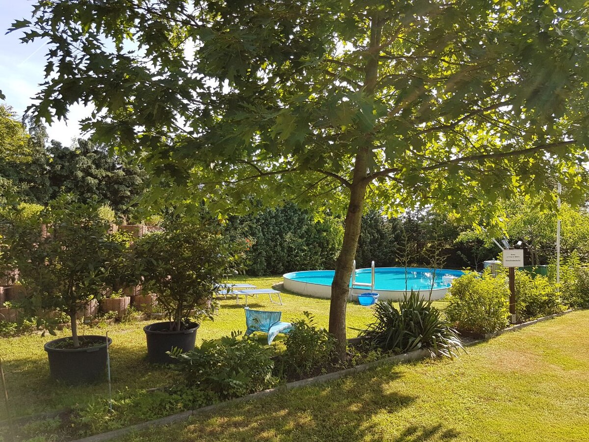 A lush garden area is featured, showcasing a clear blue swimming pool surrounded by greenery. Several potted plants and comfortable seating are arranged under the shade of a large tree, providing a serene outdoor setting.