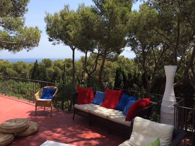 Family home. Pine forest, sea access on foot! gallery image 4