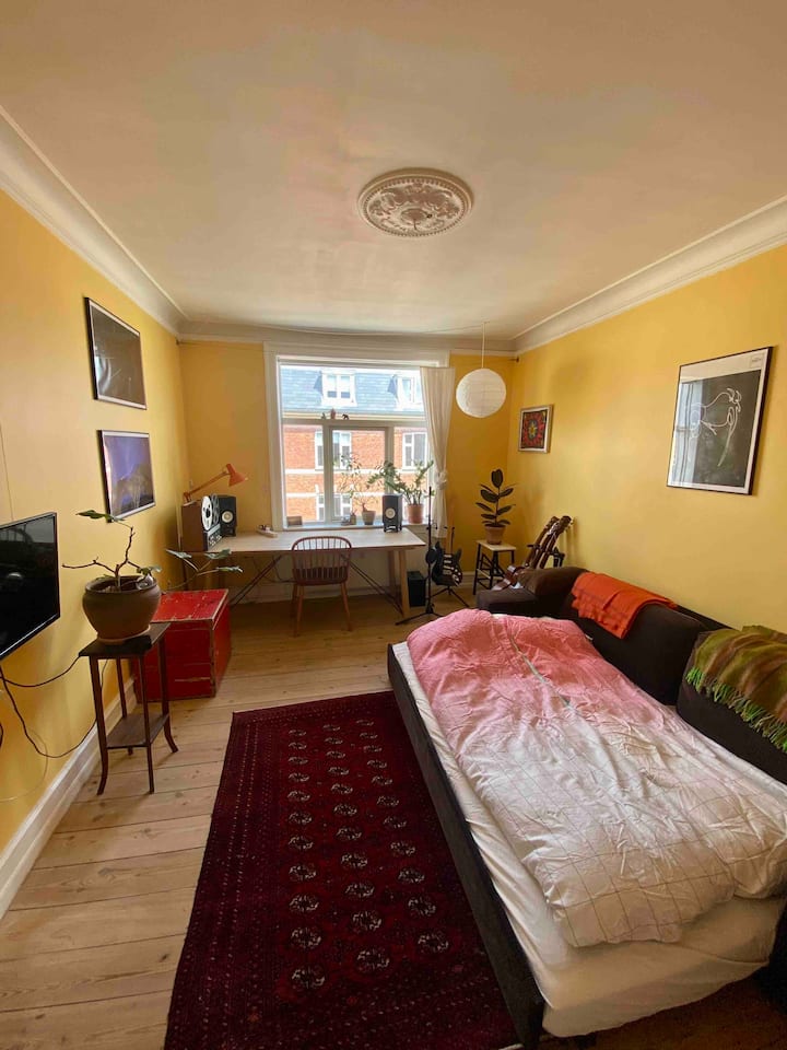 Спална соба со кауч на спуштање 