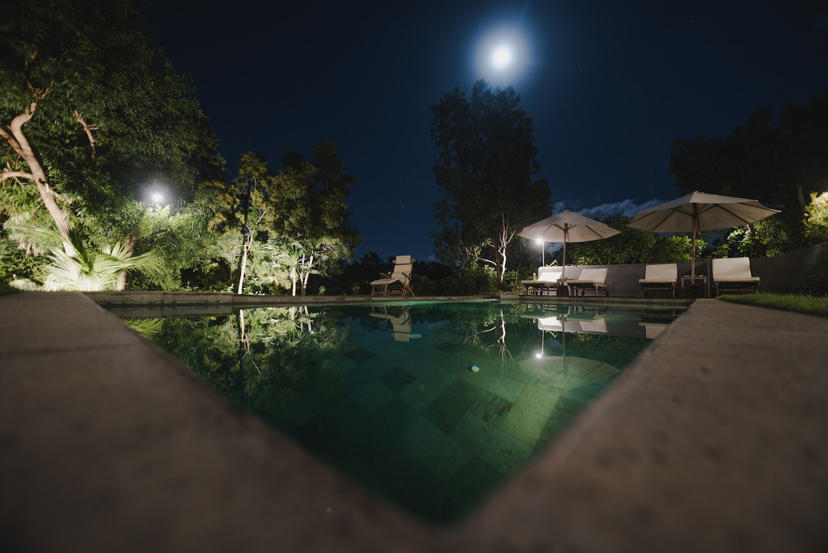 A tranquil swimming pool reflects the moonlight, surrounded by lush greenery. Umbrellas provide shade over lounge chairs positioned nearby, enhancing the serene evening atmosphere. Soft lighting casts gentle shadows, creating a peaceful outdoor space for relaxation.