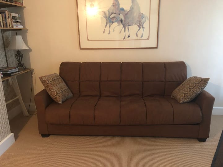Living room, - this is not a pull out sofa