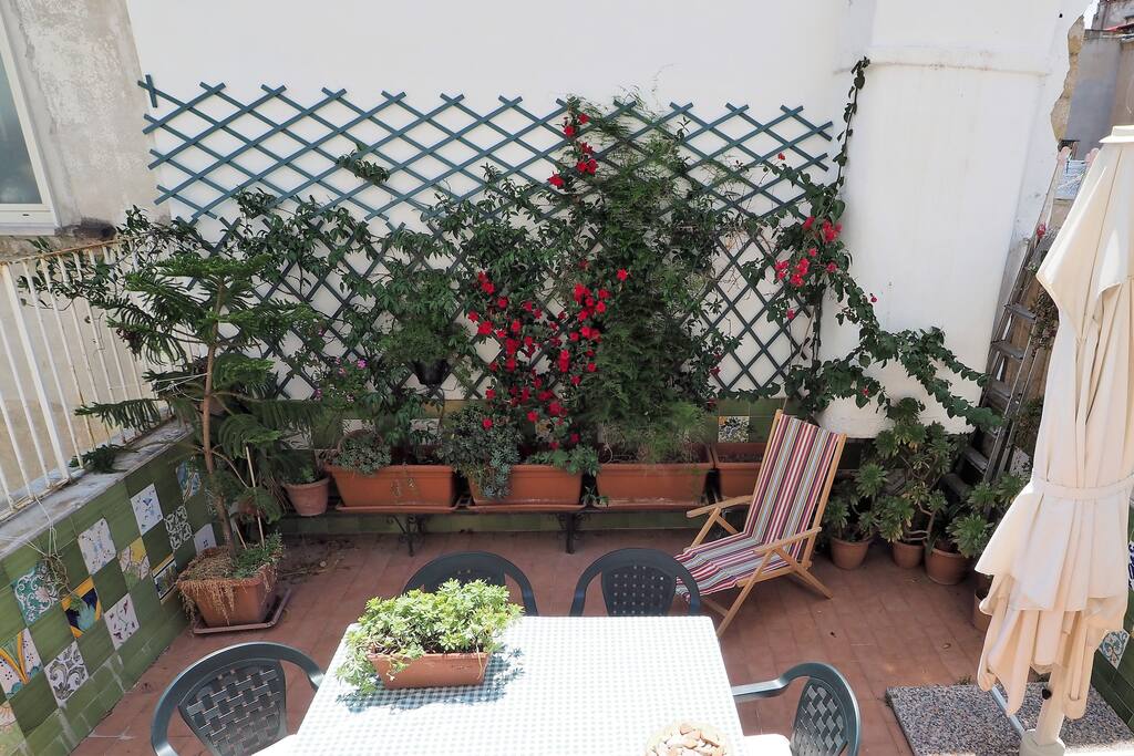 terrace