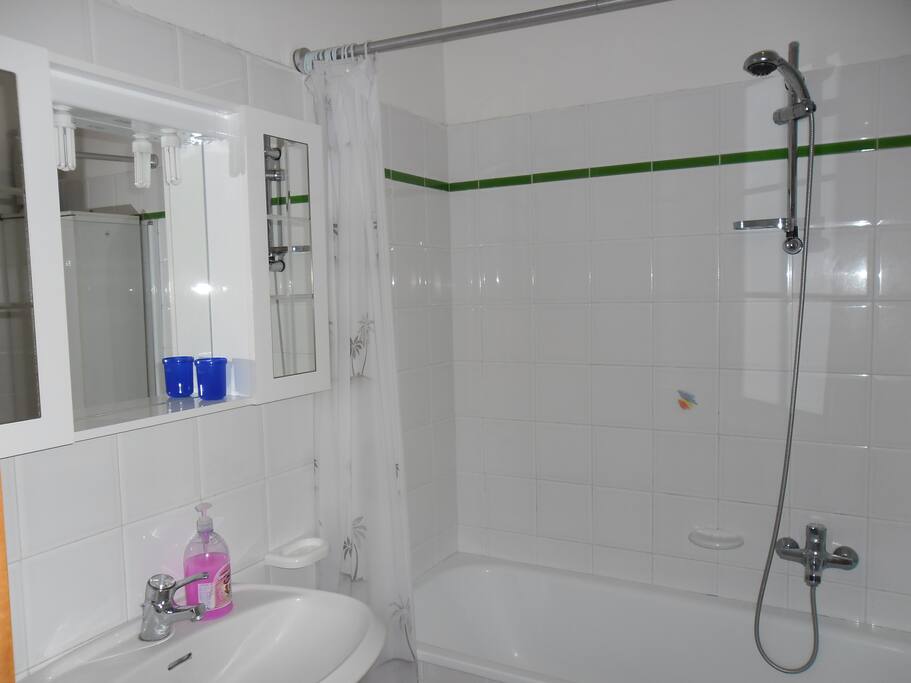 bagno con doccia in vasca