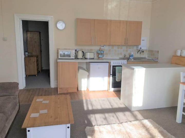 Spacious 1 Bedroom Flat nr Seafront, Penzance Apartments for Rent in