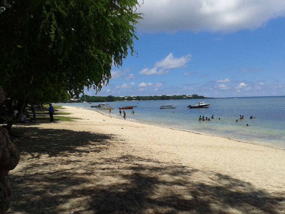 beach at 100m from the apt