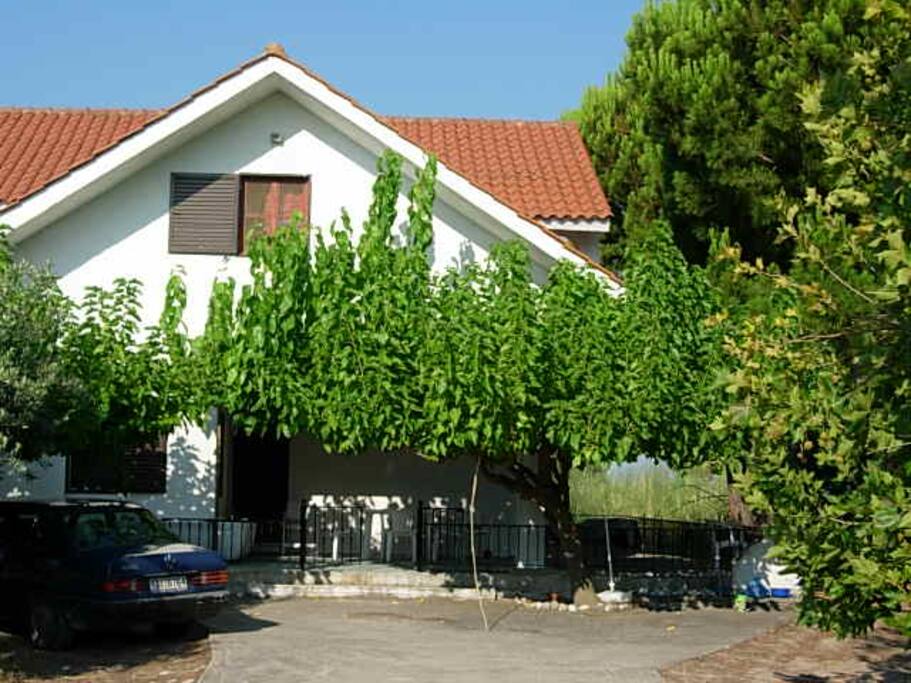 The house