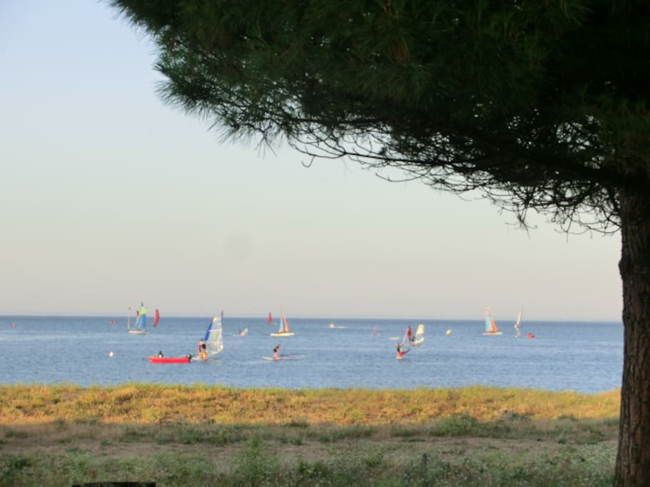 Vue depuis la maison
