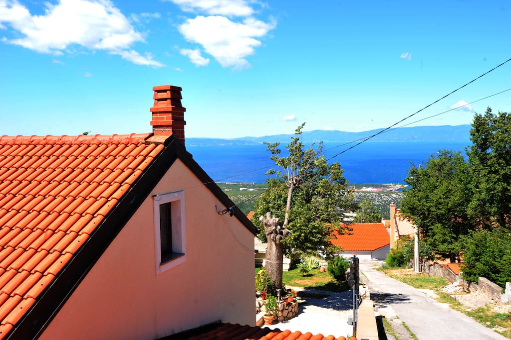 view