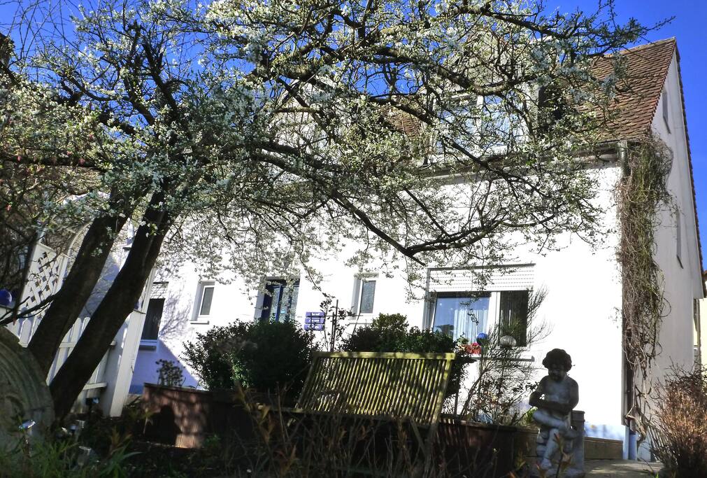 Ferienhaus mit
4 separaten Apartments