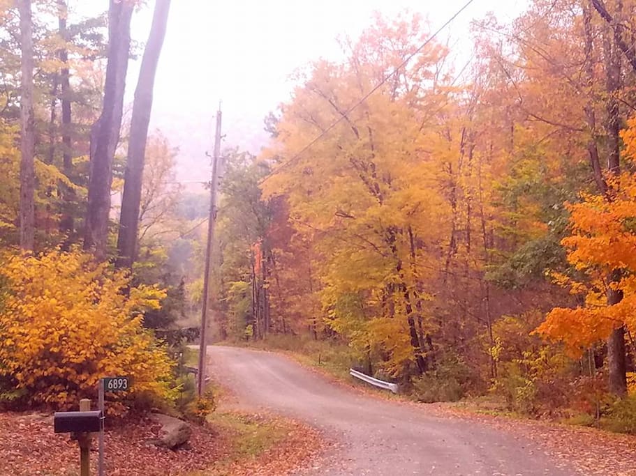 Beautiful fall scenery