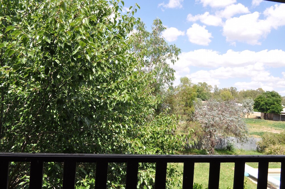 A balcony view captures lush greenery with a variety of trees overlooking a serene landscape. The distant scenery includes open fields and a glimpse of the Murrumbidgee River, complemented by a cloudy blue sky that enhances the natural setting.