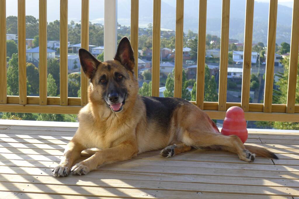 Lucca looks forward to making friends with you