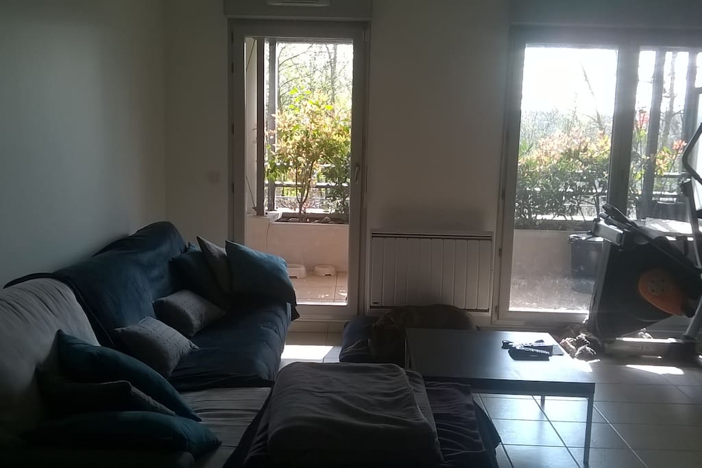 Salon.
