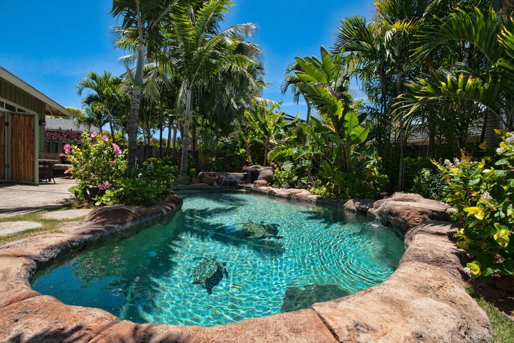Soothing salt water pool with waterfall