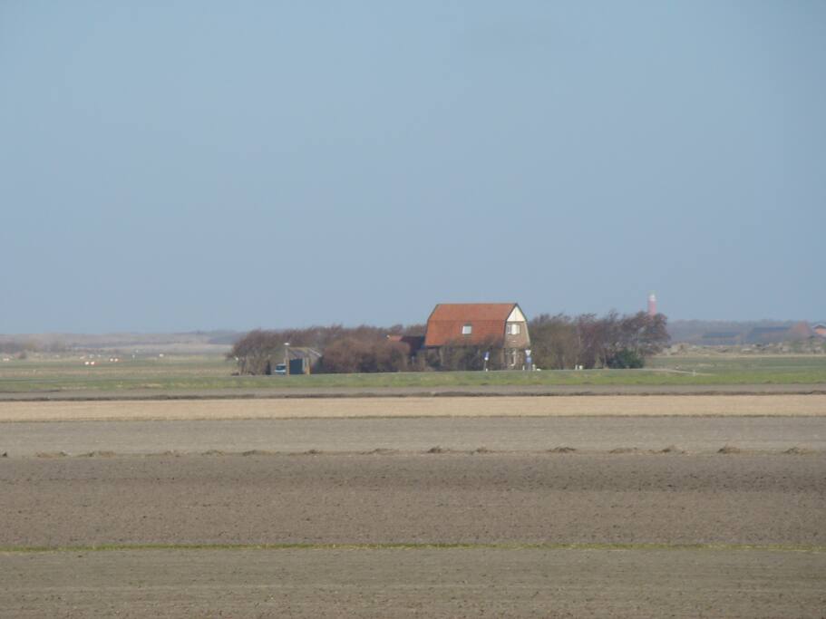 B&B Zuiderkreek ligt geheel vrij in de Eierlandse polder op Texel, de vuurtoren op de achtergrond
