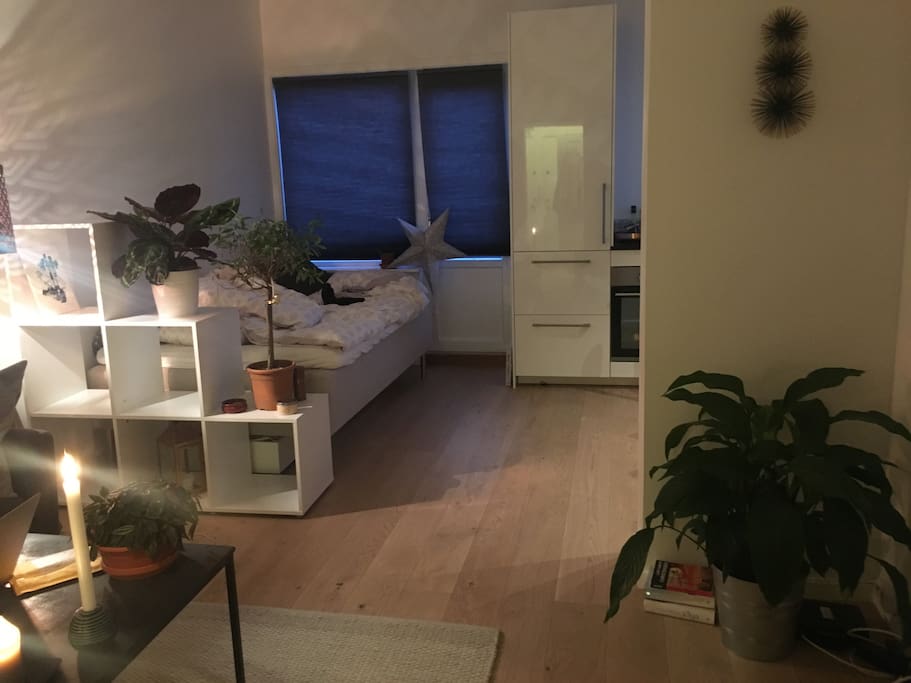 The apartment