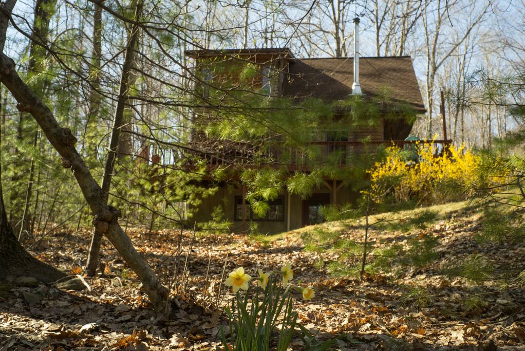 Spring has sprung! House view from the front yard.