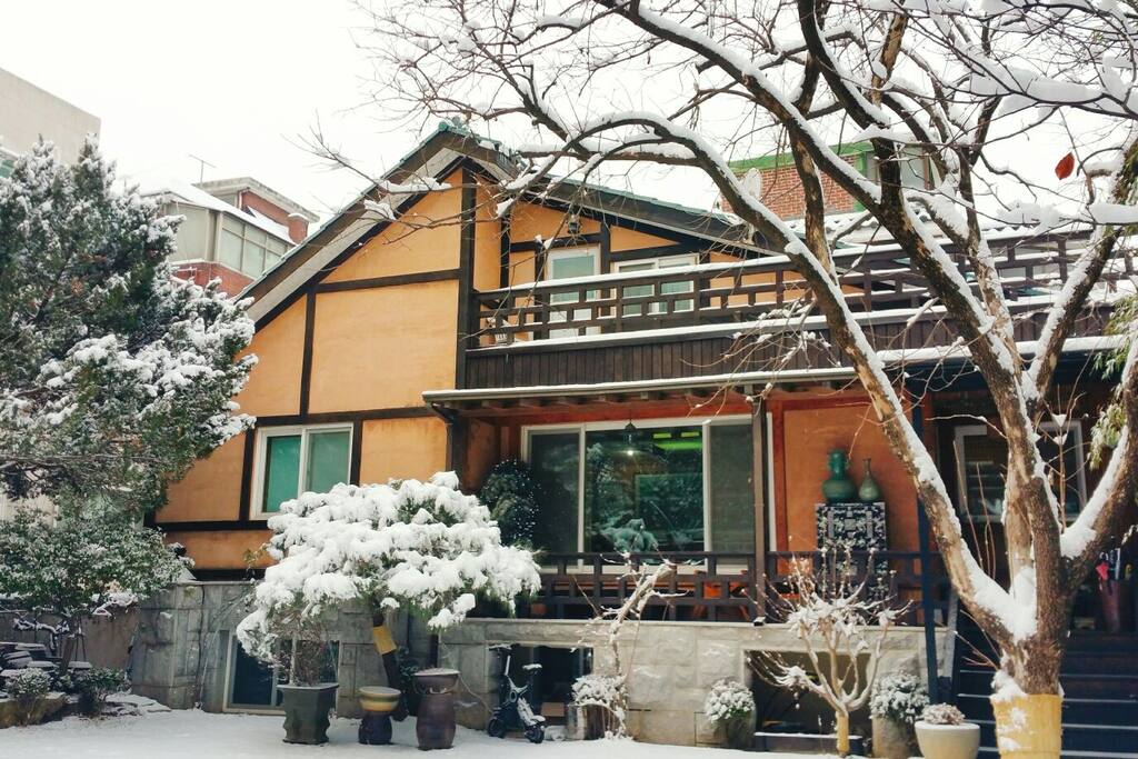 Winter