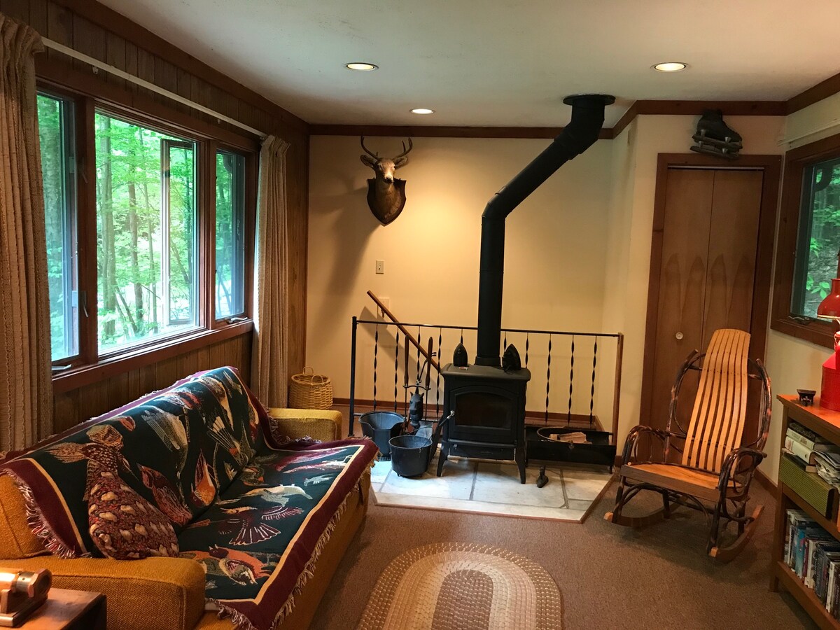 A cozy living space is presented with a patterned sofa and a rocking chair. A Franklin stove is positioned on a stone base, complemented by a decorative railing. Natural light filters through large windows, enhancing the warm wood accents throughout the room.