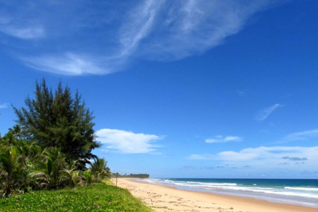 Crowded Cassange
Beach -looking North.