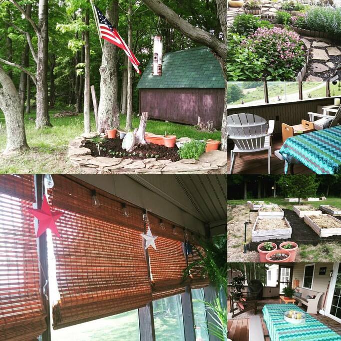 Screened Porch with Views