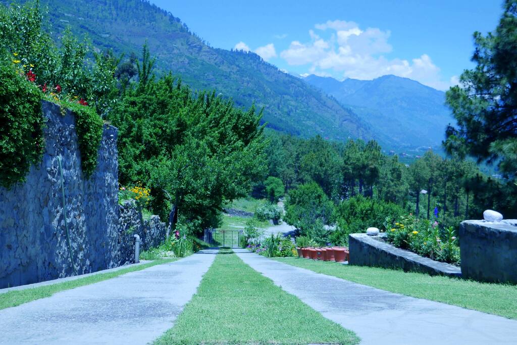 The Driveway